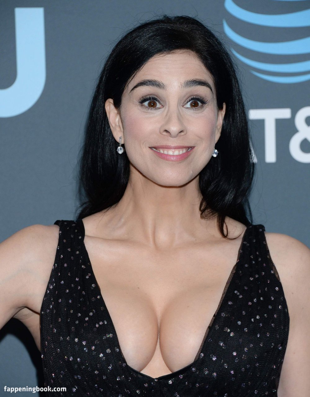 Busty Brunette Sarah Silverman Showing Her Main Assets in 