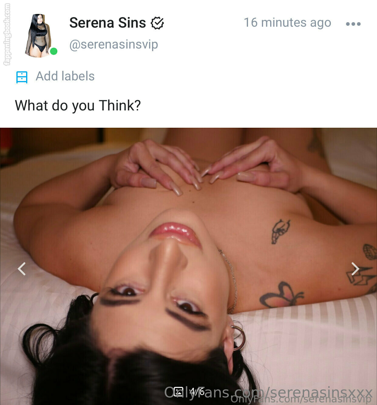 Serenasinsxxx Nude OnlyFans Leaks