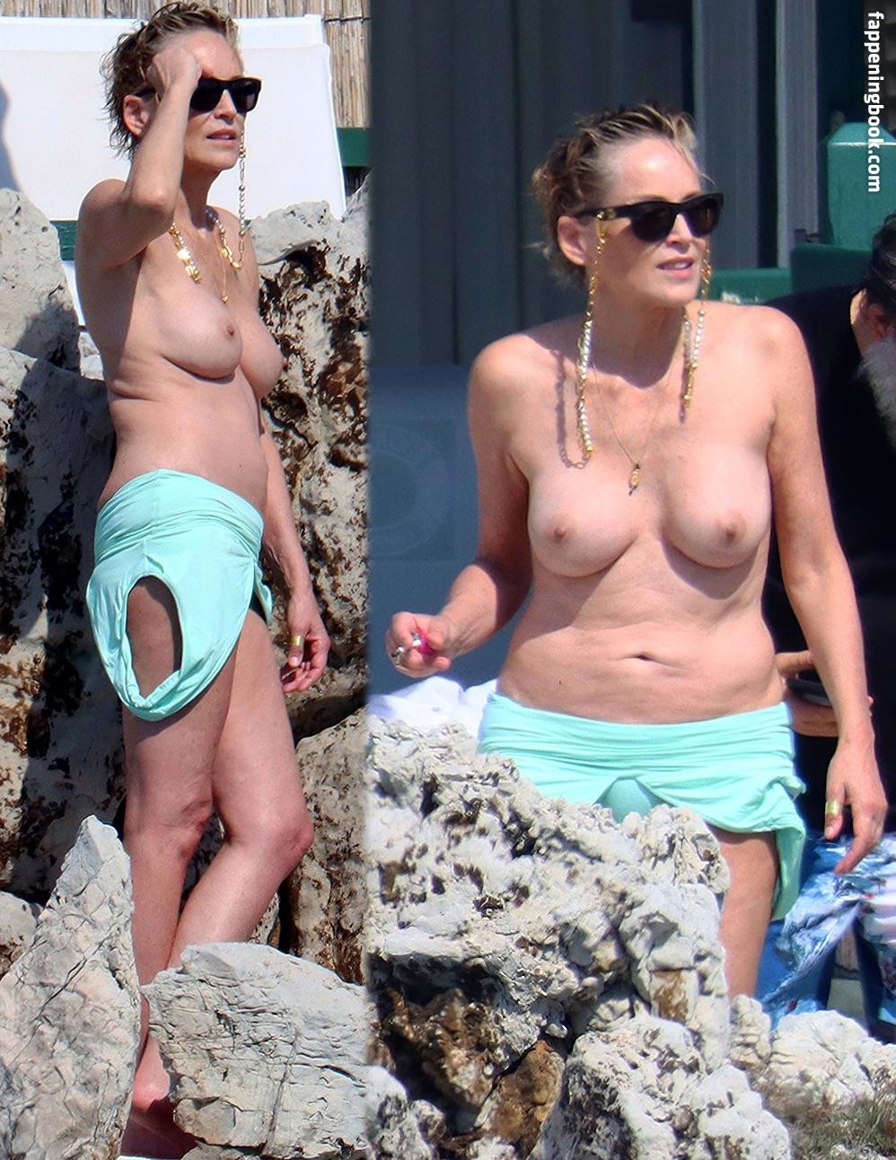 Sharon Stone Nude OnlyFans Leaks