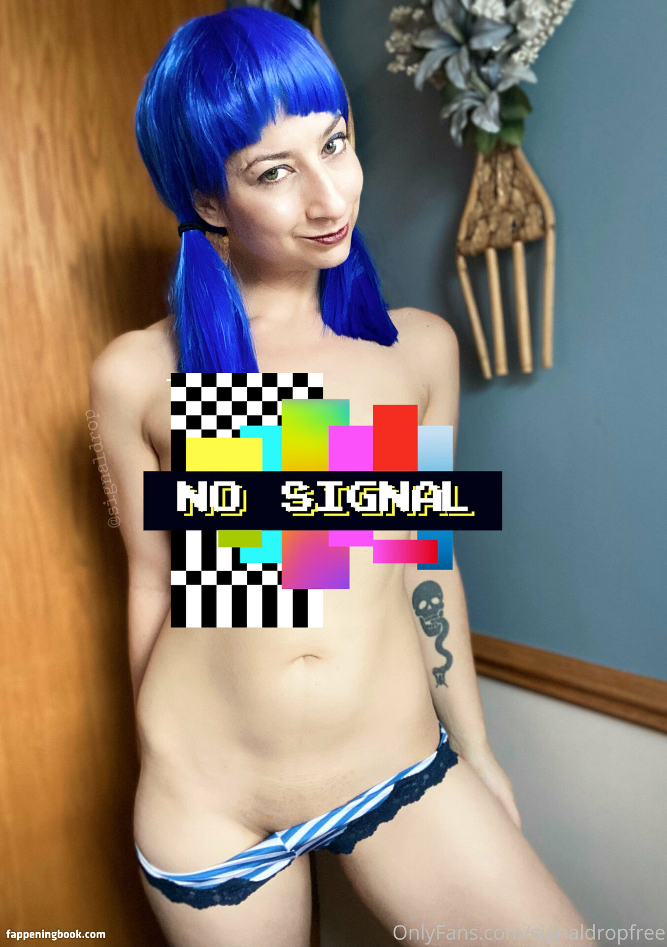 signaldropfree Nude OnlyFans Leaks