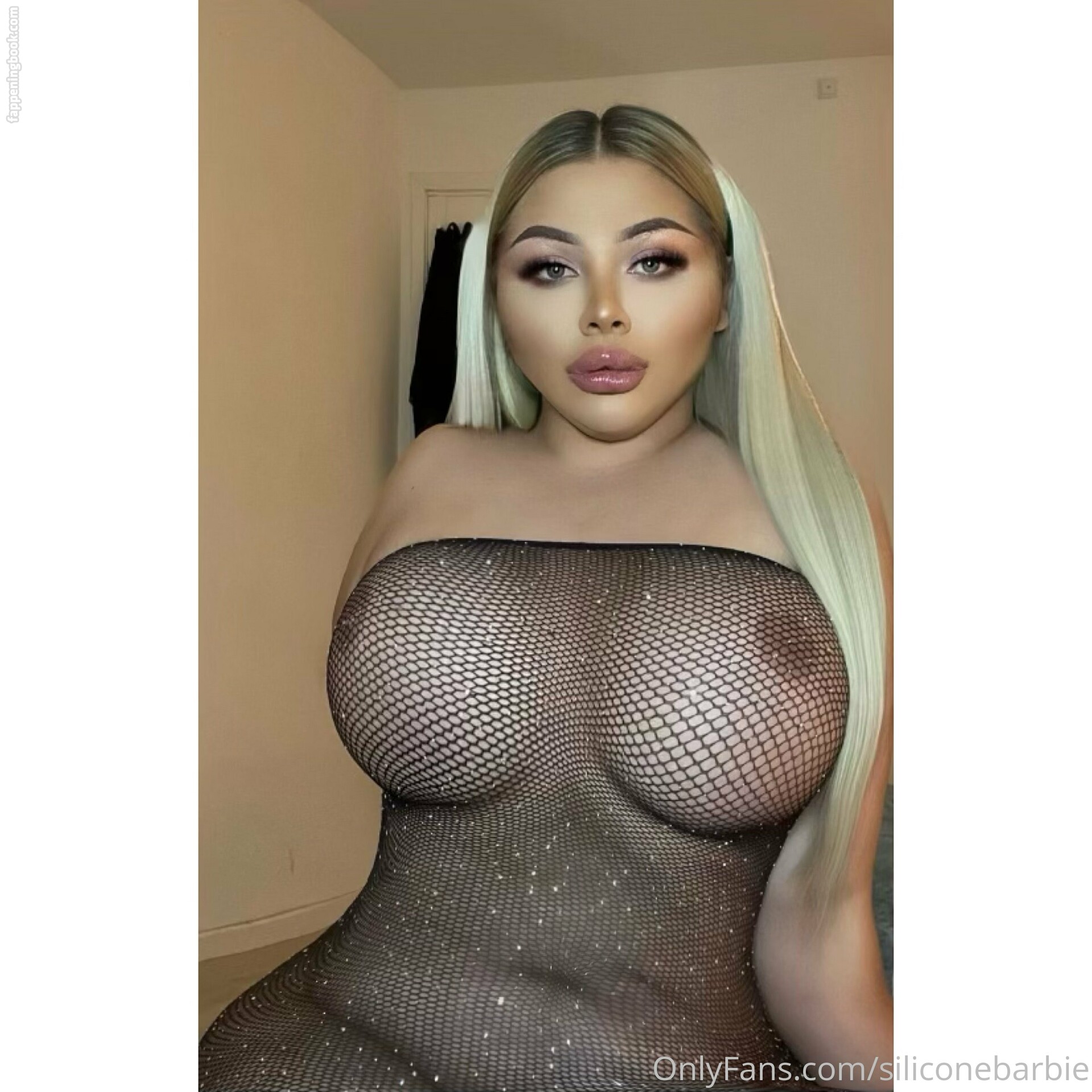 siliconebarbie Nude OnlyFans Leaks
