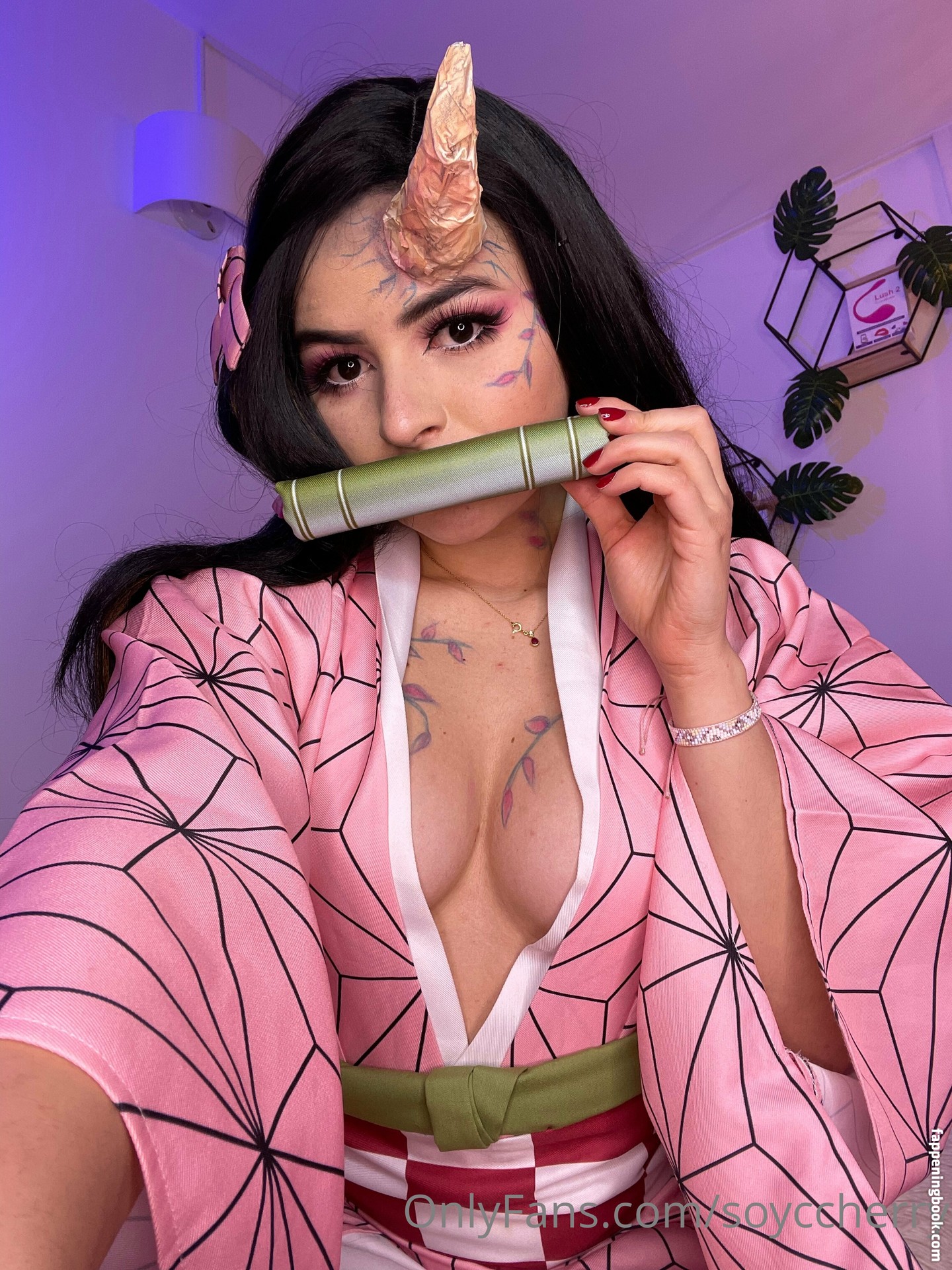 soyccherry