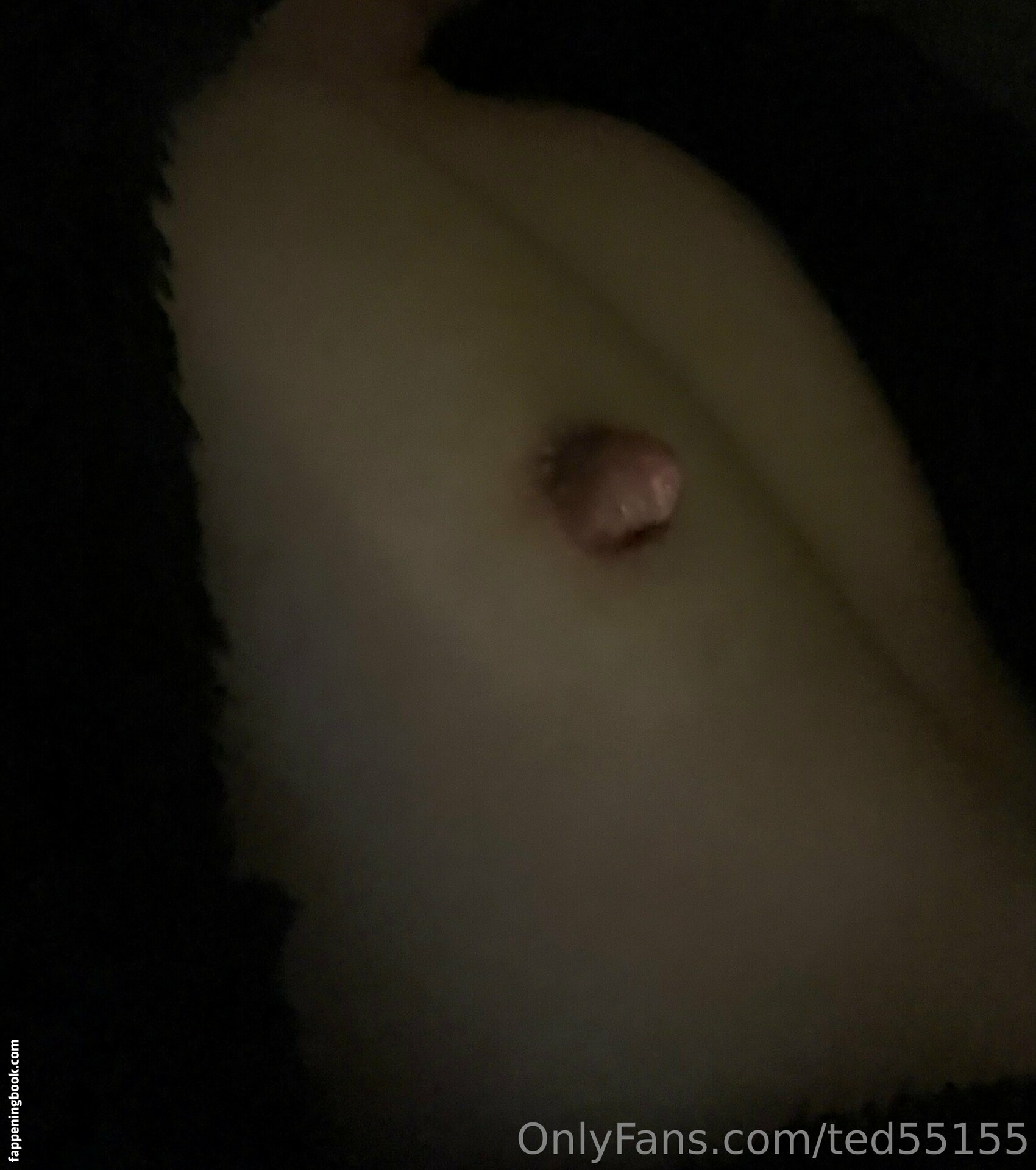 ted55155 Nude OnlyFans Leaks