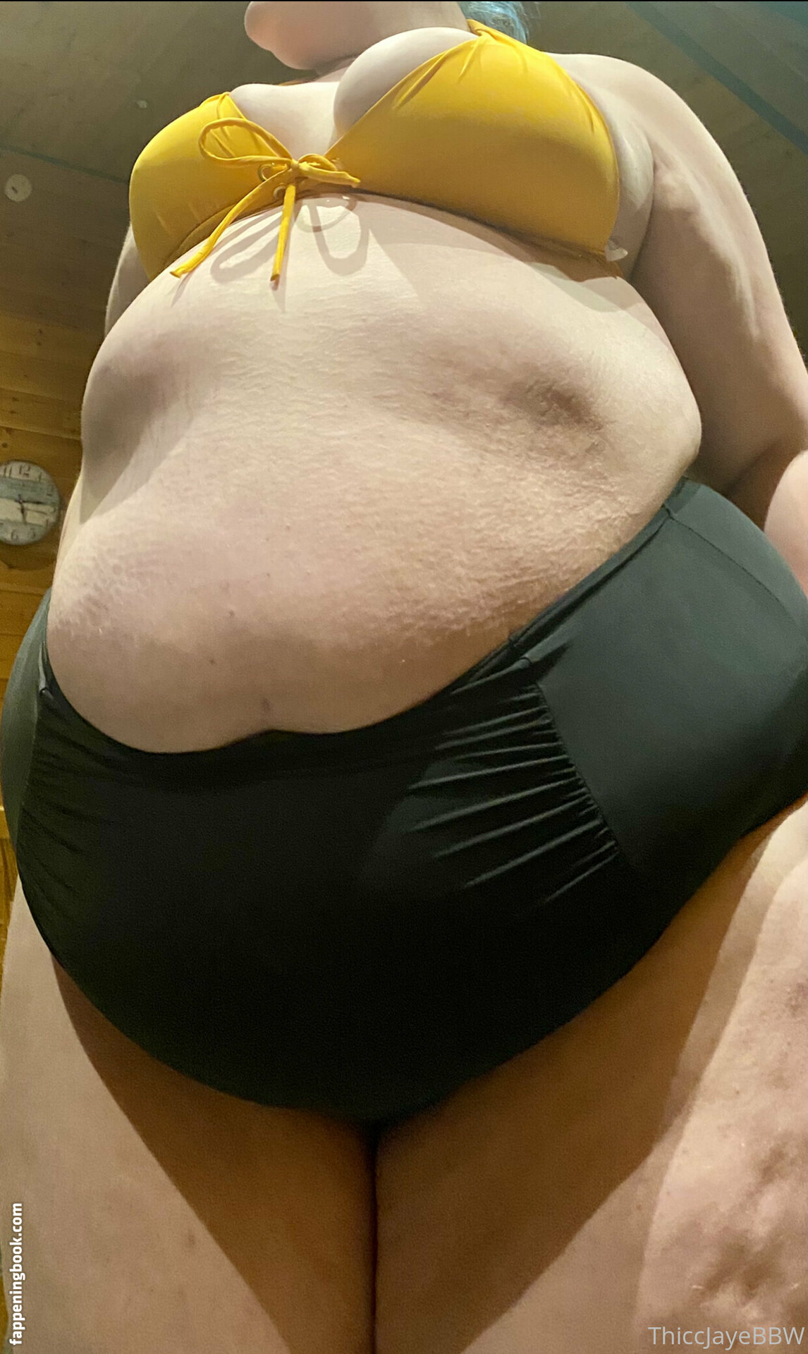 thiccjayebbw Nude OnlyFans Leaks