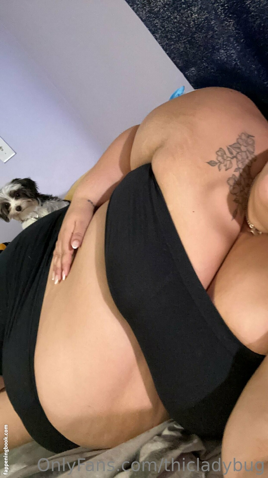 thicladybug Nude, OnlyFans Leaks, The Fappening - Photo 5703126 - Fappenin...