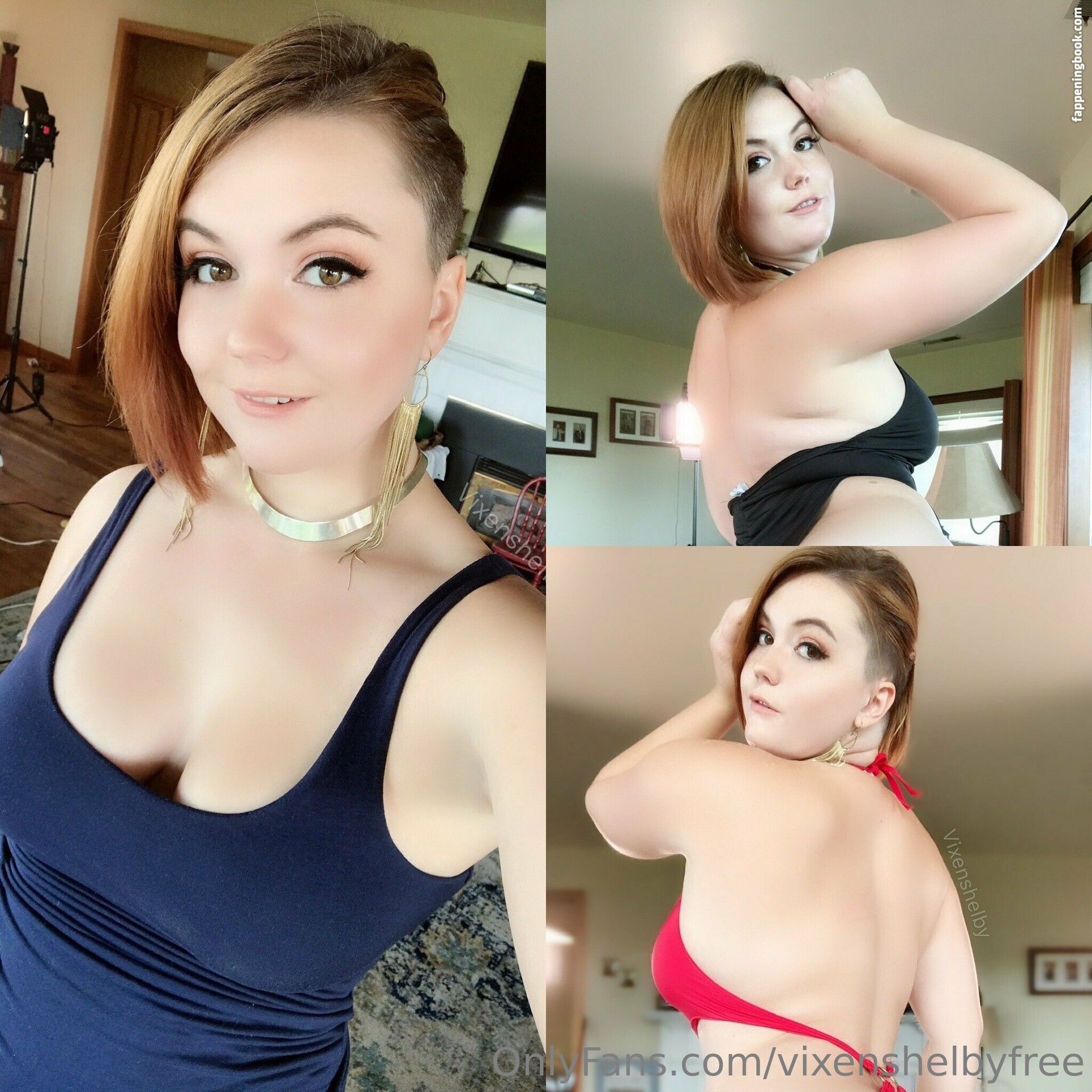 vixenshelbyfree Nude OnlyFans Leaks