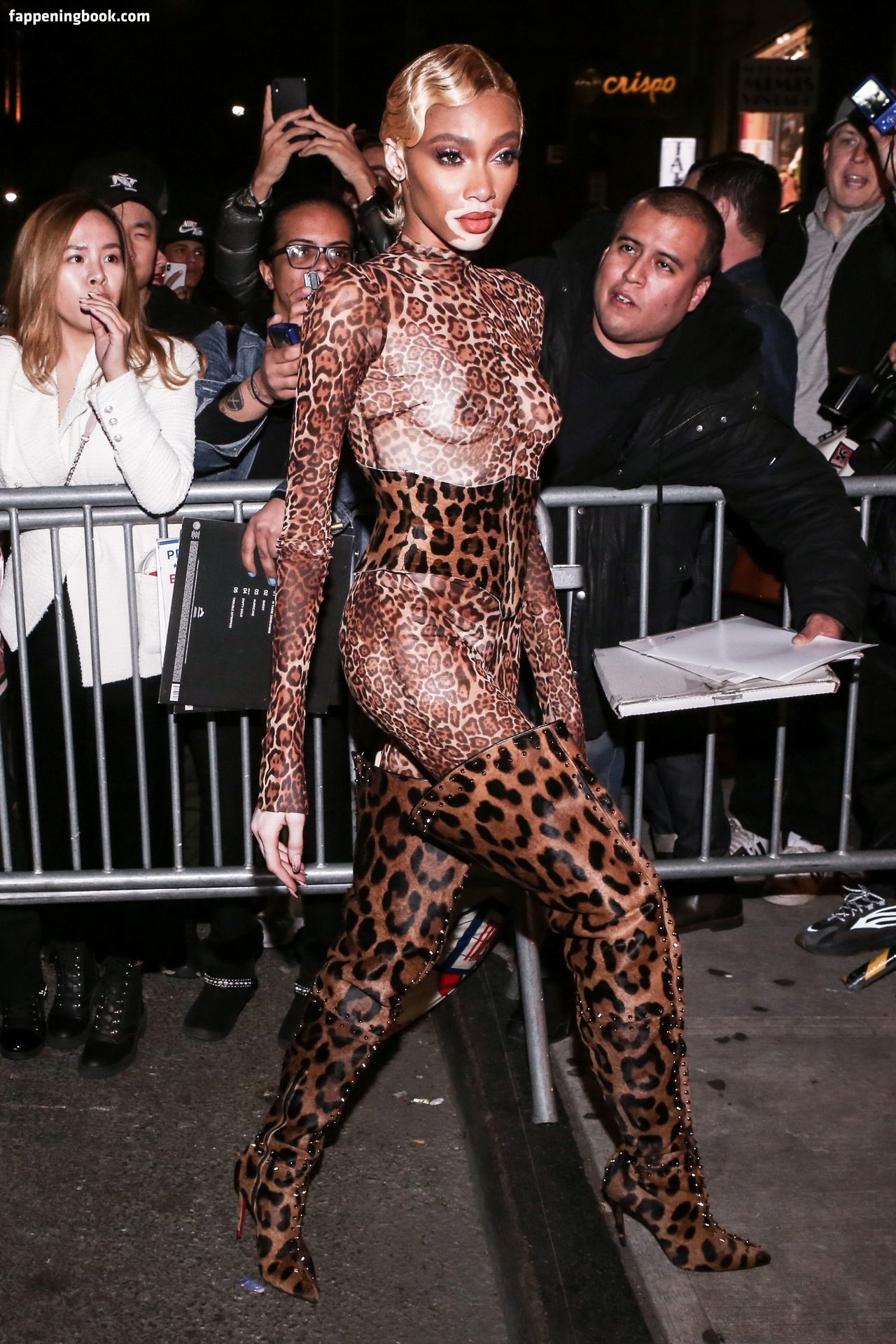 Winnie harlow nudes