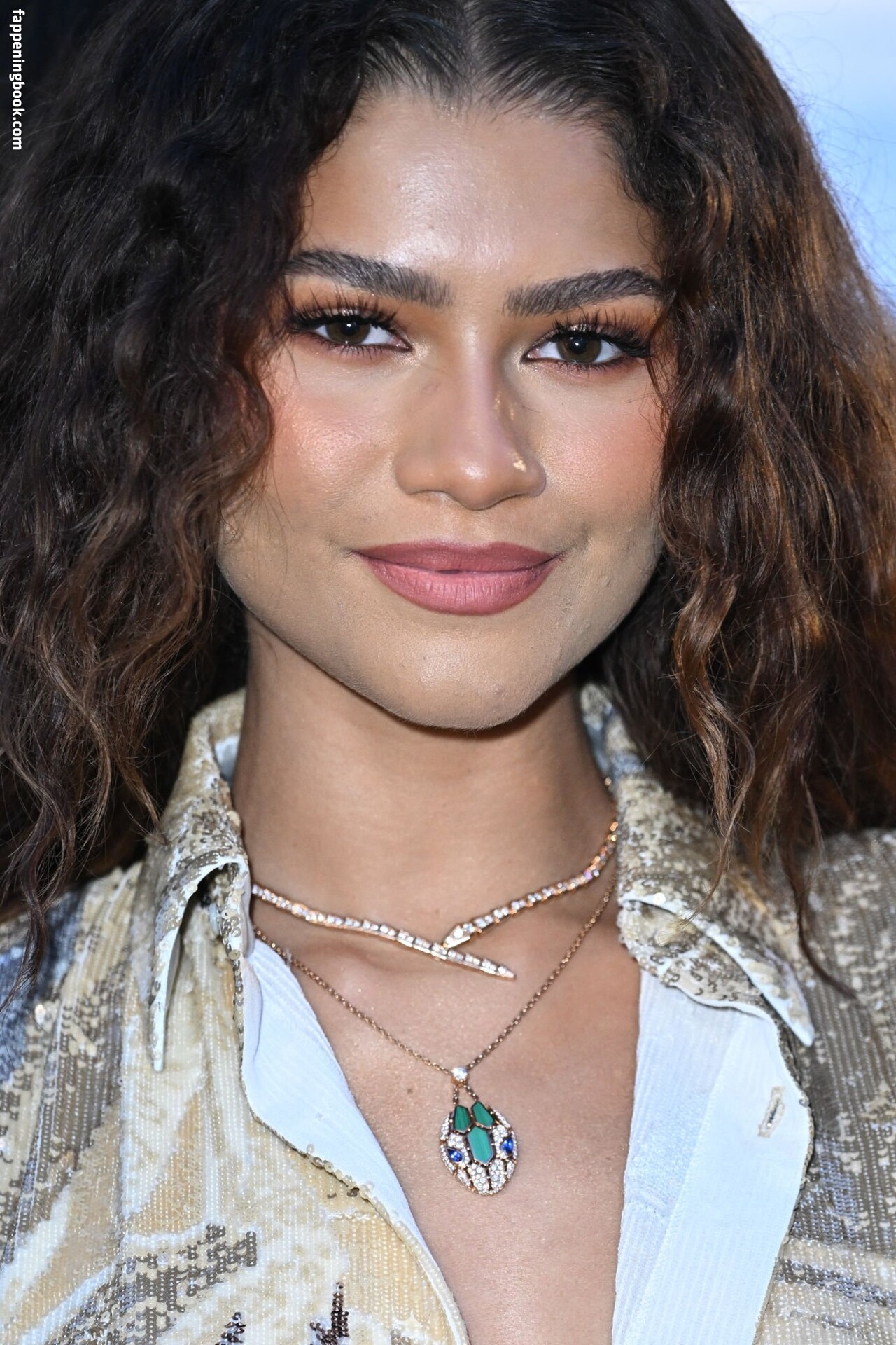 Zendaya Nude The Fappening Photo 5306386 Fappeningbook 